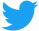 Twitter Logo Blue                           