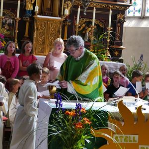 Unsere neuen Minis, Juli 2022