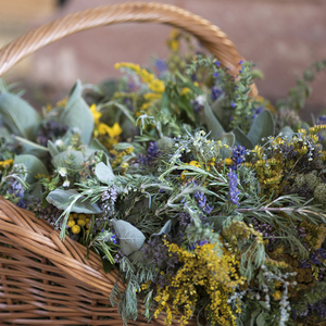 Mariä Himmelfahrt 2024