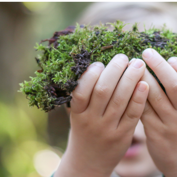 Heidewald Schieferegg - Umweltarbeit in der Diözese Linz