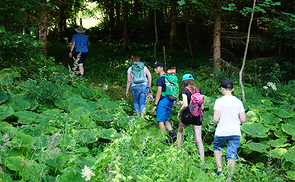 Wilhering: Minis-Jungscharlager 2023