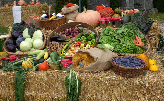 Erntedankfest am 29.09.2013