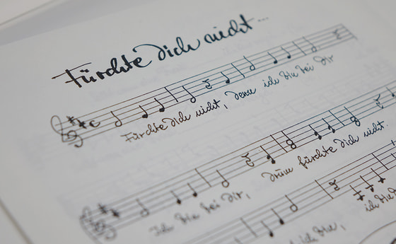 Wolfgang Fürlinger: „Fürchte Dich nicht“ / © Diözese Linz/Stefanie Petelin Wolfgang Fürlinger: „Fürchte Dich nicht“