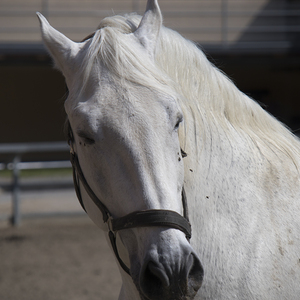 Pilgerreise Stmk - Tag 2