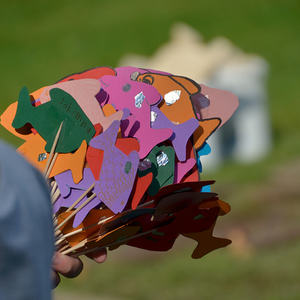 Das Jungscharlager 2016 der Pfarren Kirchdorf, Scharnstein und Viechtwang in Spital am Pyhrn.