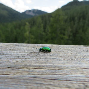 Bergmesse-Vorbereitung