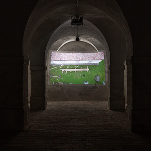 'Fichtenbestattung' von Benjamin Ben Amotz