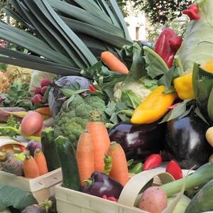 Bezirkserntedankfest