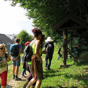 Naturerlebnisweg Pfarrwald Vöcklabruck