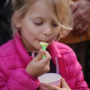 Kirchenchorausflug Burgenland 2017