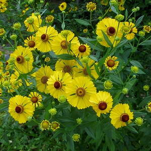 'Rund um den Wachtberg'