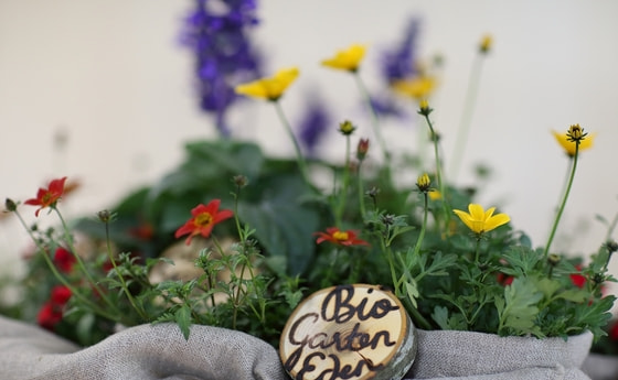 Landesgartenschau Bio.Garten.Eden 