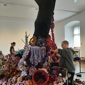 Die Korallen werden im Schlossmuseum drapiert