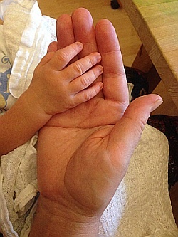 Große Hand und kleine Hand