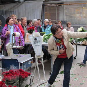 Pfarre Neumarkt im Mühlkreis