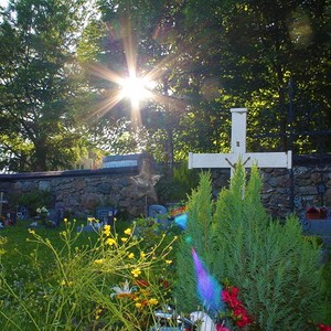 Friedhof Sommer