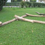 Projekt Natur- Naher Garten