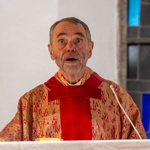 Palmsonntag Pfarre Kirchdorf an der Krems