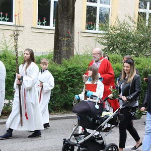 Palmsonntag in St. Quirinus