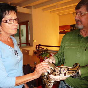 Seniorenrunde - Frieda und Arnold