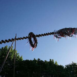 Maibaum Pfarre Maria Puchheim