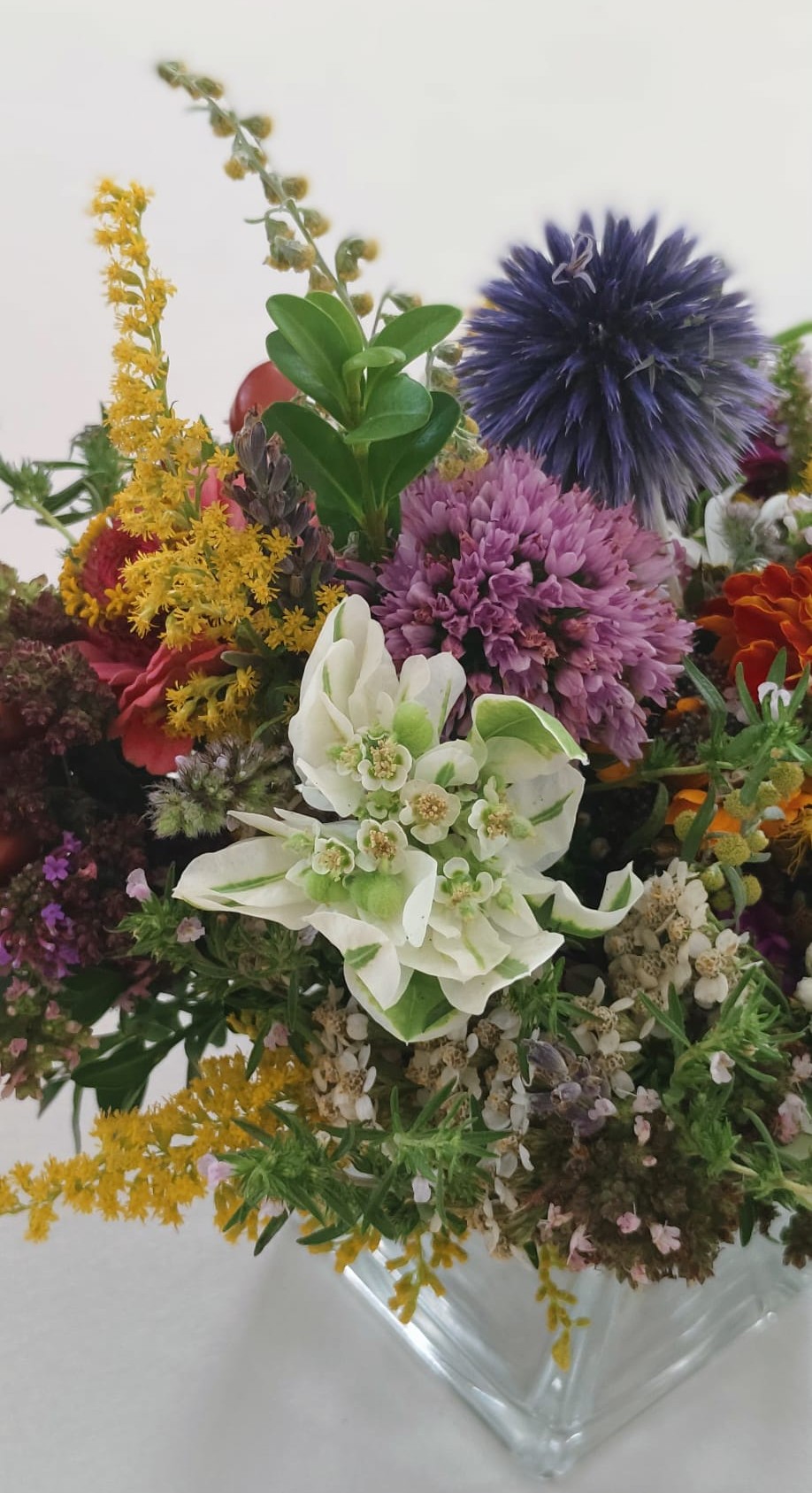 Goldhaubegruppe Maria Himmelfahrt