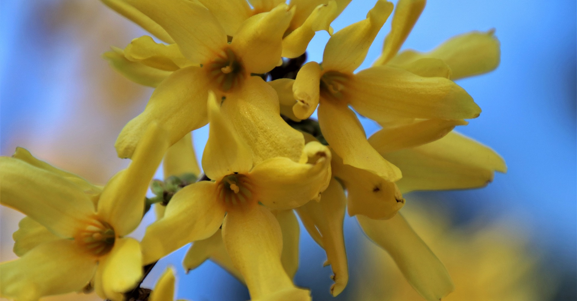 Religionspädagogische Arbeit - Pfarrcaritas-Kindergarten Pichl bei Wels