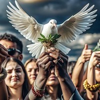 soziale Botschaft / Bild von Temel auf Pixabay soziale Botschaft