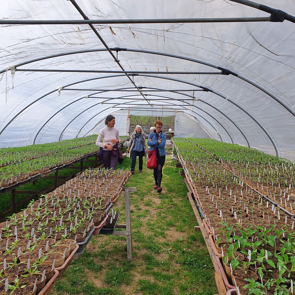 besuch-am-biohof-fairleben-in-allhaming